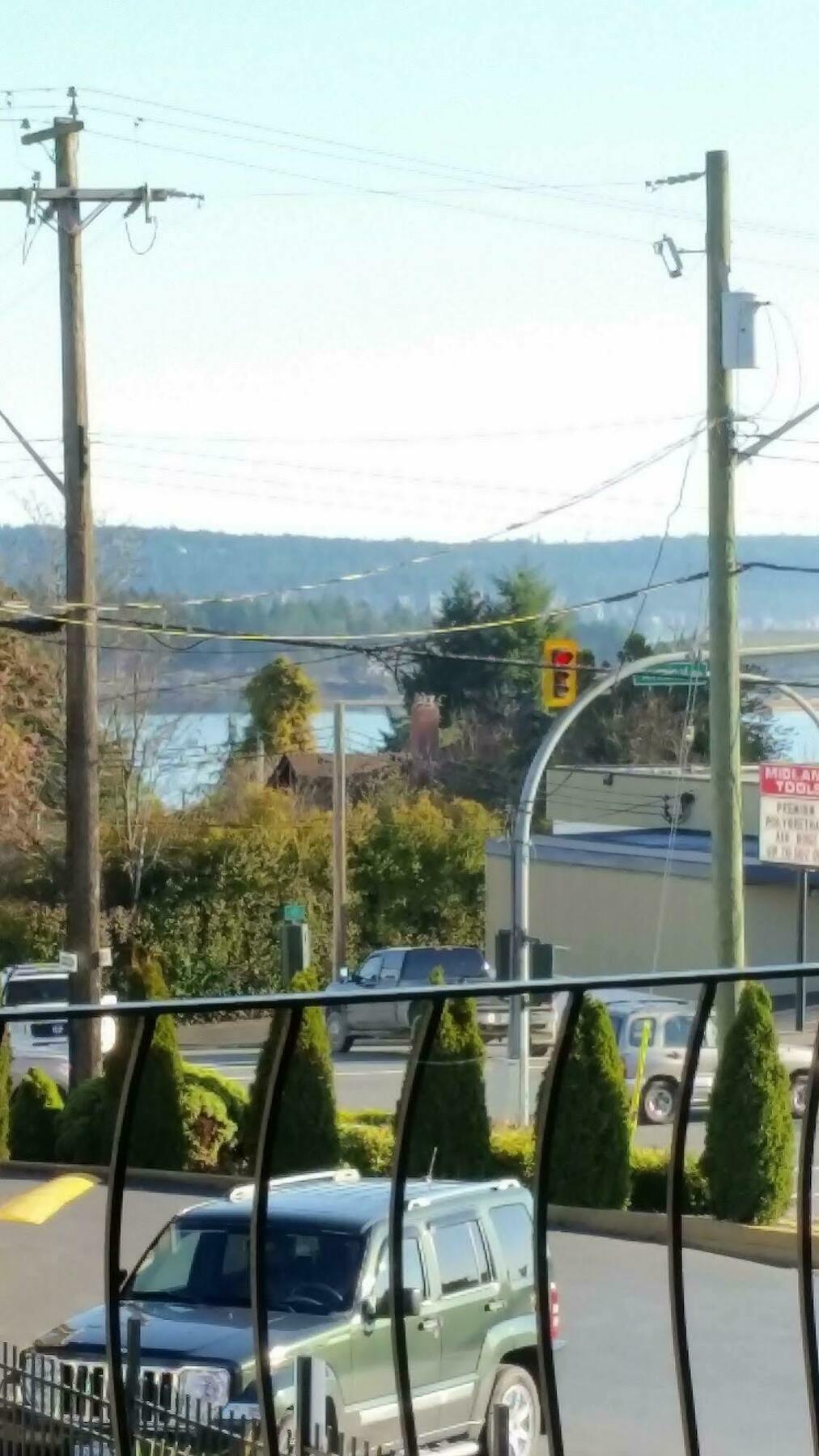 Port-O-Call Inn Nanaimo Buitenkant foto